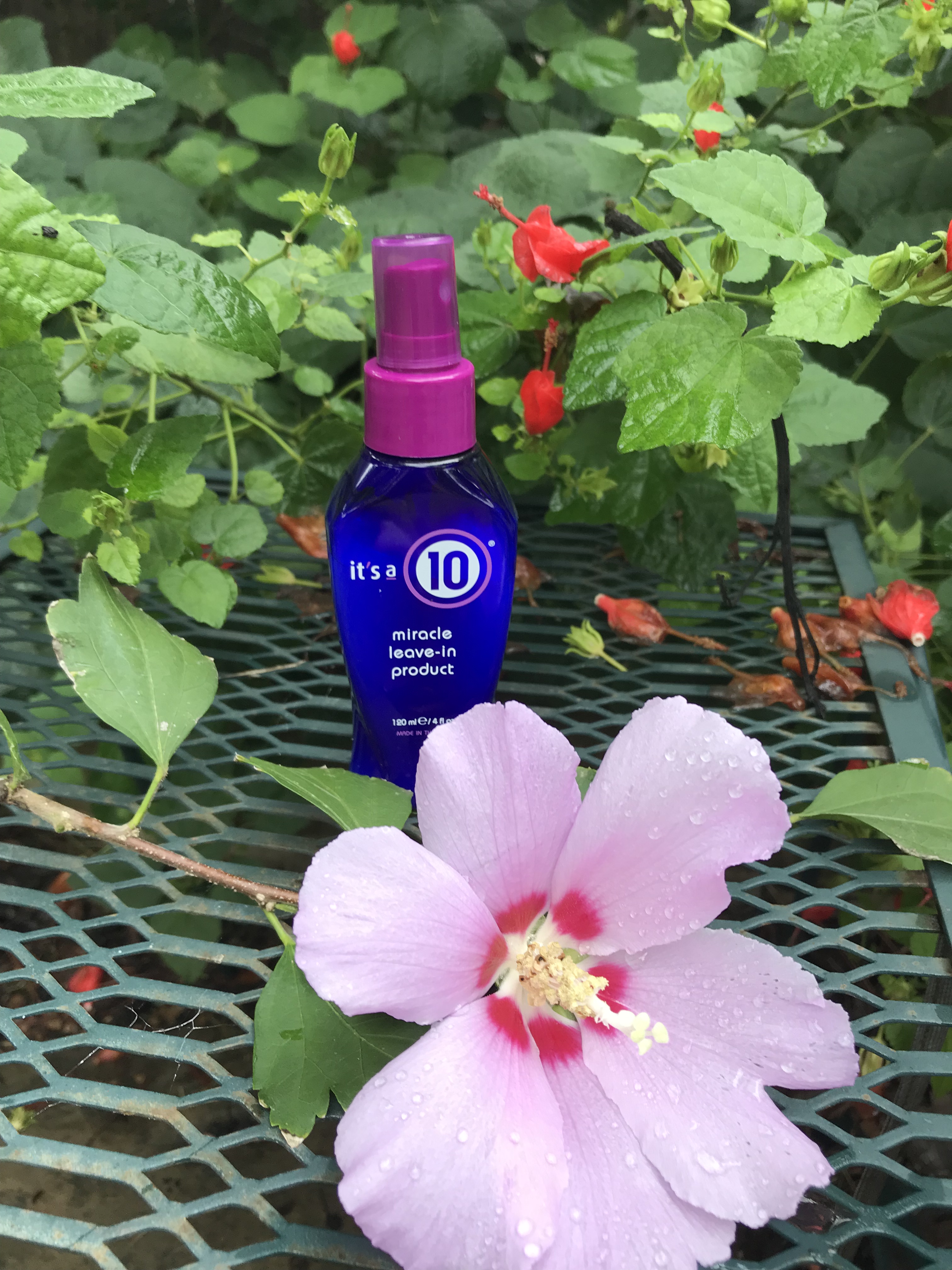 4F05135A-F5D6-463B-909C-E4A72C8F1F2B